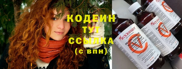 ешки Алзамай