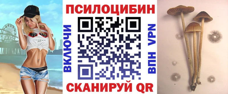 Псилоцибиновые грибы ЛСД где найти наркотики Бобров